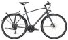 Trek FX 2 DISC EQ L Satin Lithium Grey